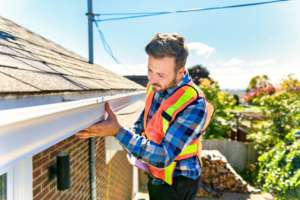 Best Solar Panel Roofing Installation  in Bernie, MO